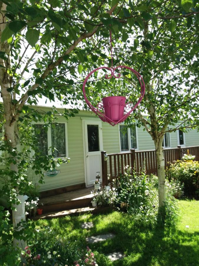 Hills View Accommadation Borrisoleigh Exterior foto